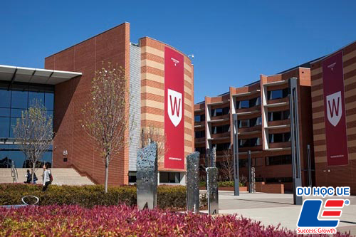 dai-hoc-western-sydney2