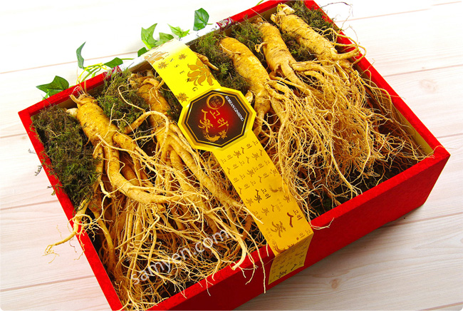 Nhâm Sâm Hàn Quốc