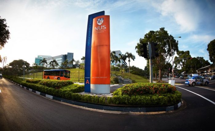 Viện Đại học Quốc gia Singapore hay Đại học Quốc gia Singapore, thường được gọi tắt là NUS, là viện đại học xưa nhất và lớn nhất về số lượng sinh viên tại Singapore