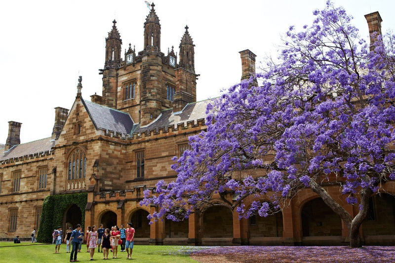 ssdh-the-university-of-sydney