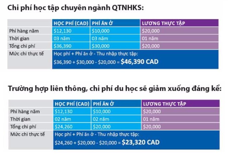 Đại học Cape Breton