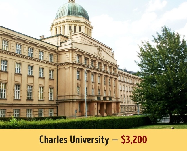Charles University