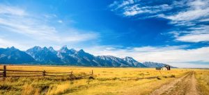 Wyoming