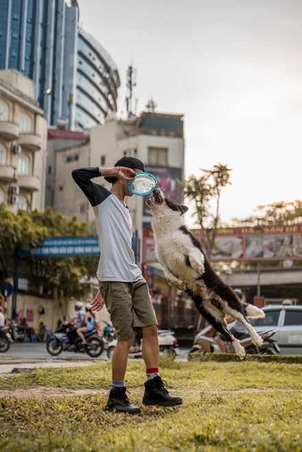 Chú chó đáng yêu mà em đã huấn luyện được 4 năm.