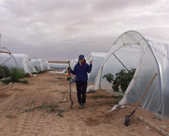 israel3