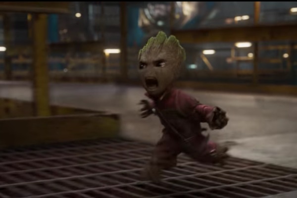ssdhbabygroot