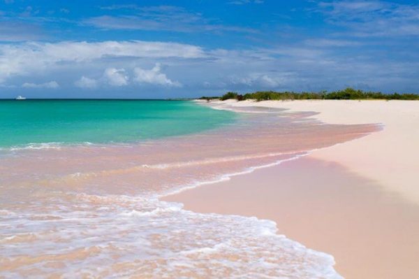 ssdh-barbuda-antigua