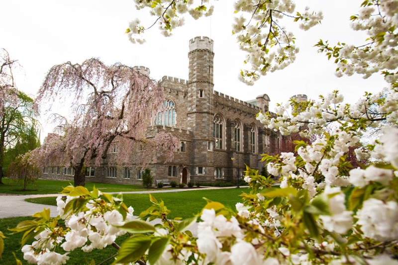 ssdh-bryn-mawr-college