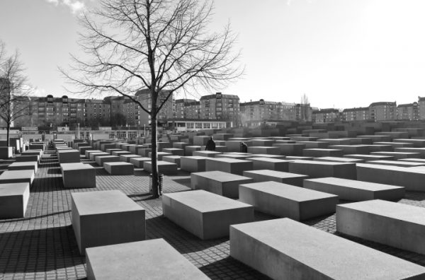 ssdh-germany11