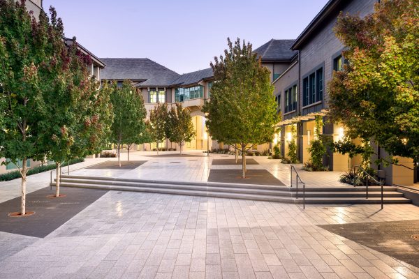ssdh-haas-school-of-business