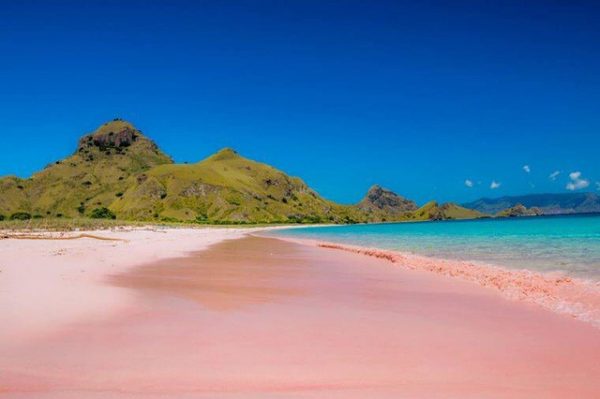 ssdh-pink-beach