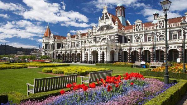 ssdh-the-university-of-otago