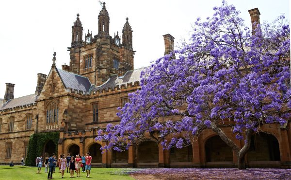 ssdh-university-of-sydney1