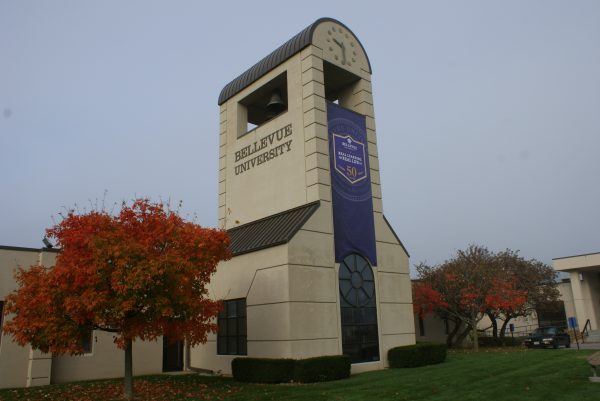 ssdh-bellevue-university