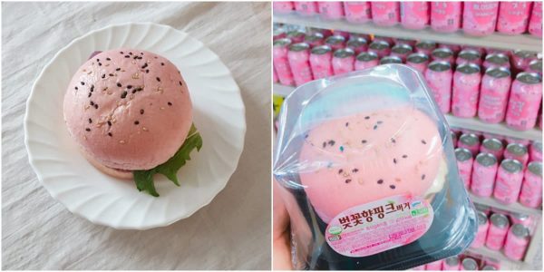 ssdh-burger-mau-hong