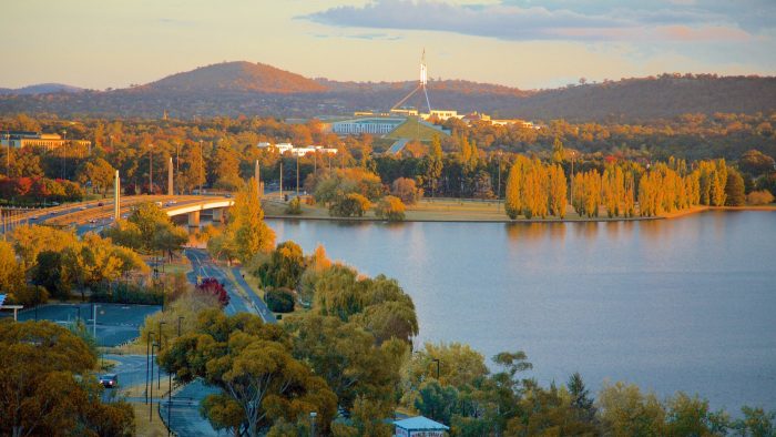 ssdh-canberra
