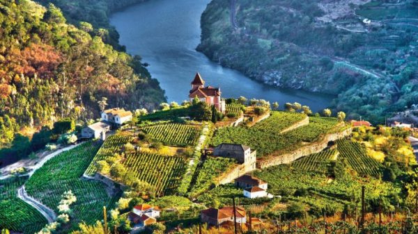 ssdh-douro