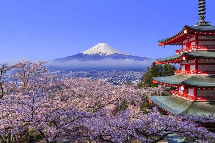 ssdh-japanese-nhat-ban