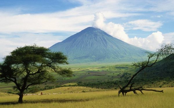 ssdh-tanzania