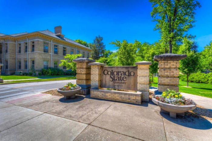 ssdh-colorado-state-university