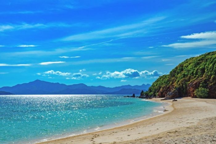 ssdh-coron