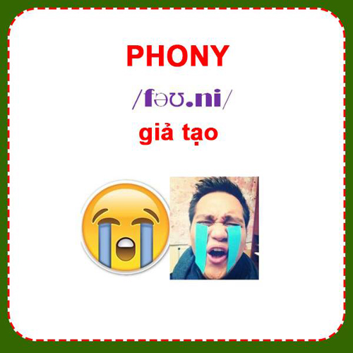 ssdh-hoc-tieng-anh1