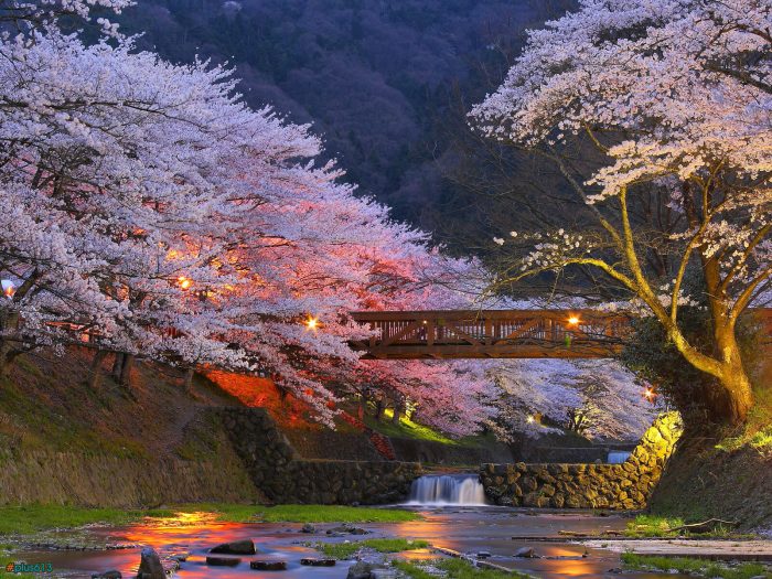 Kyoto, Nhật Bản. (Ảnh: Pinterest)