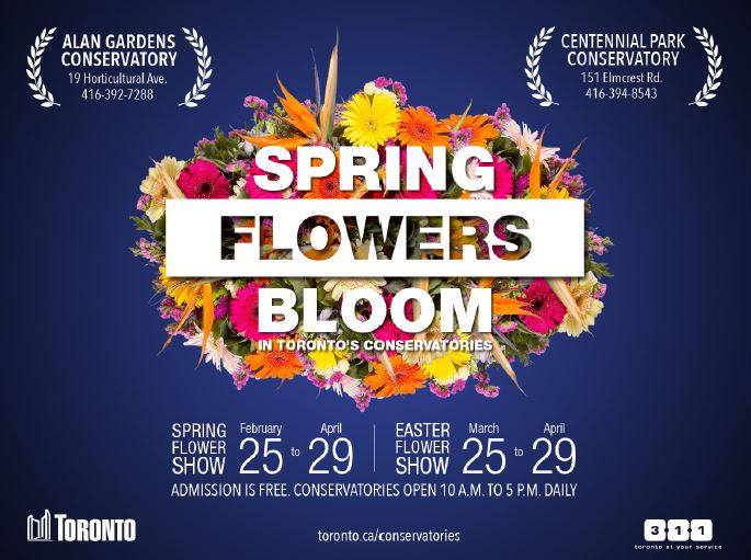 ssdh-spring-flower-show-2018