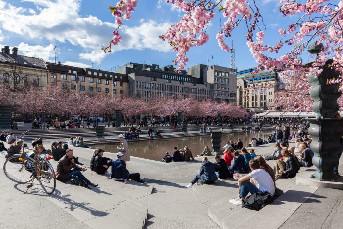 ssdh-stockholm