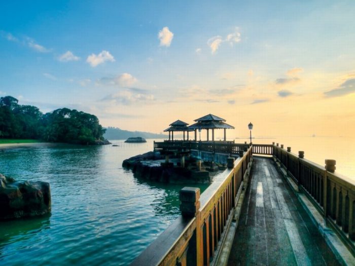 ssdhP-pulau-ubi