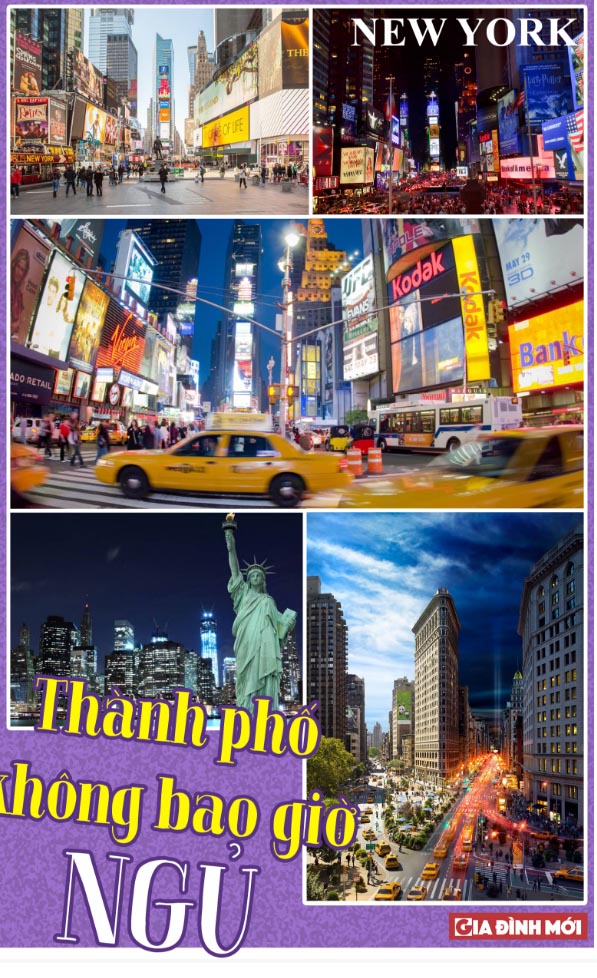 nyu-dai-hoc-newyork3