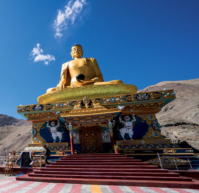 ssdh-Hemis2