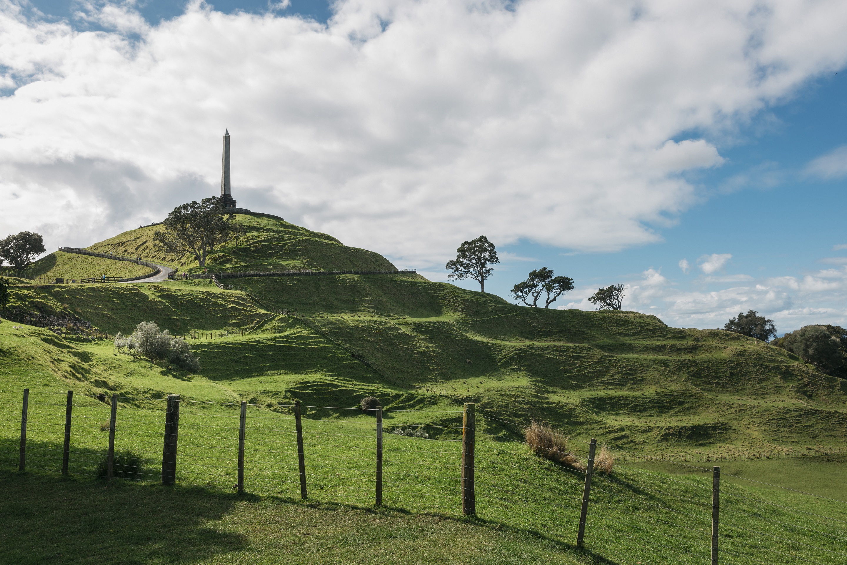 ssdh-One-tree-hill