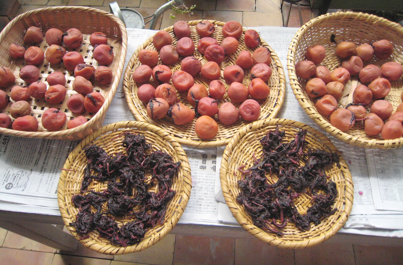 ssdh-Umeboshi4