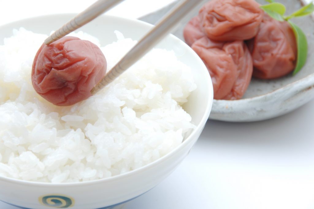 ssdh-Umeboshi5