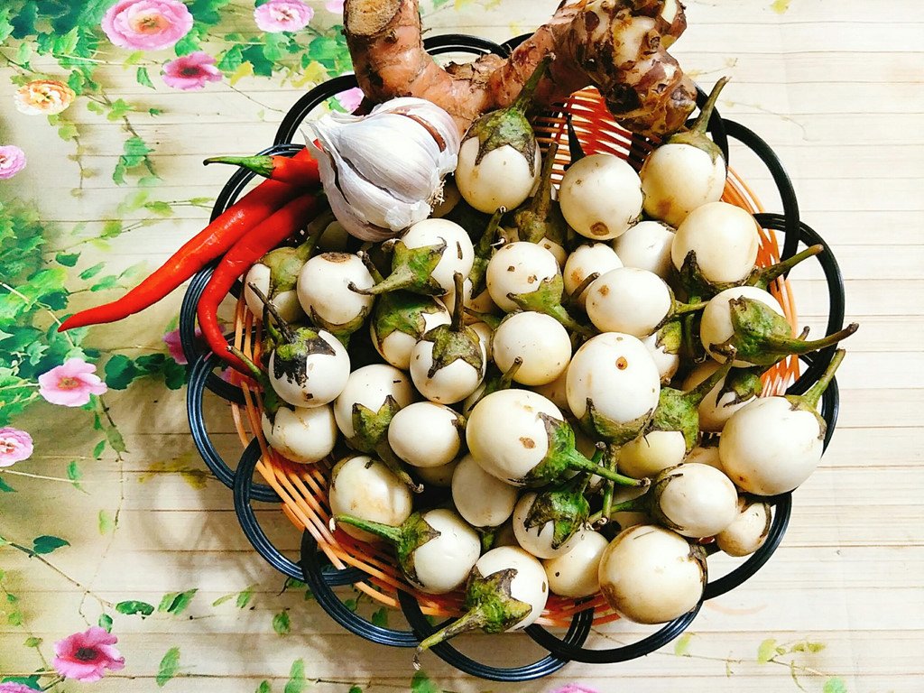 ssdh-ca-phao-muoi1
