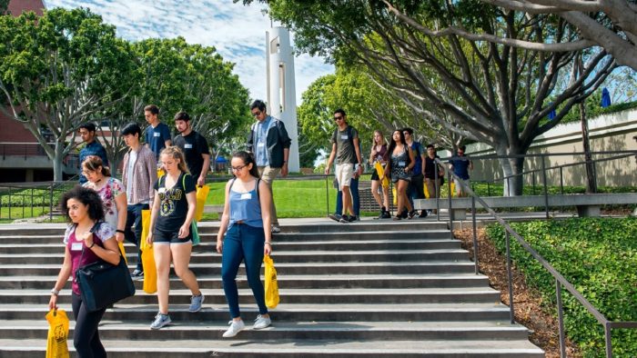 ssdh-california-state-university-long-beach2
