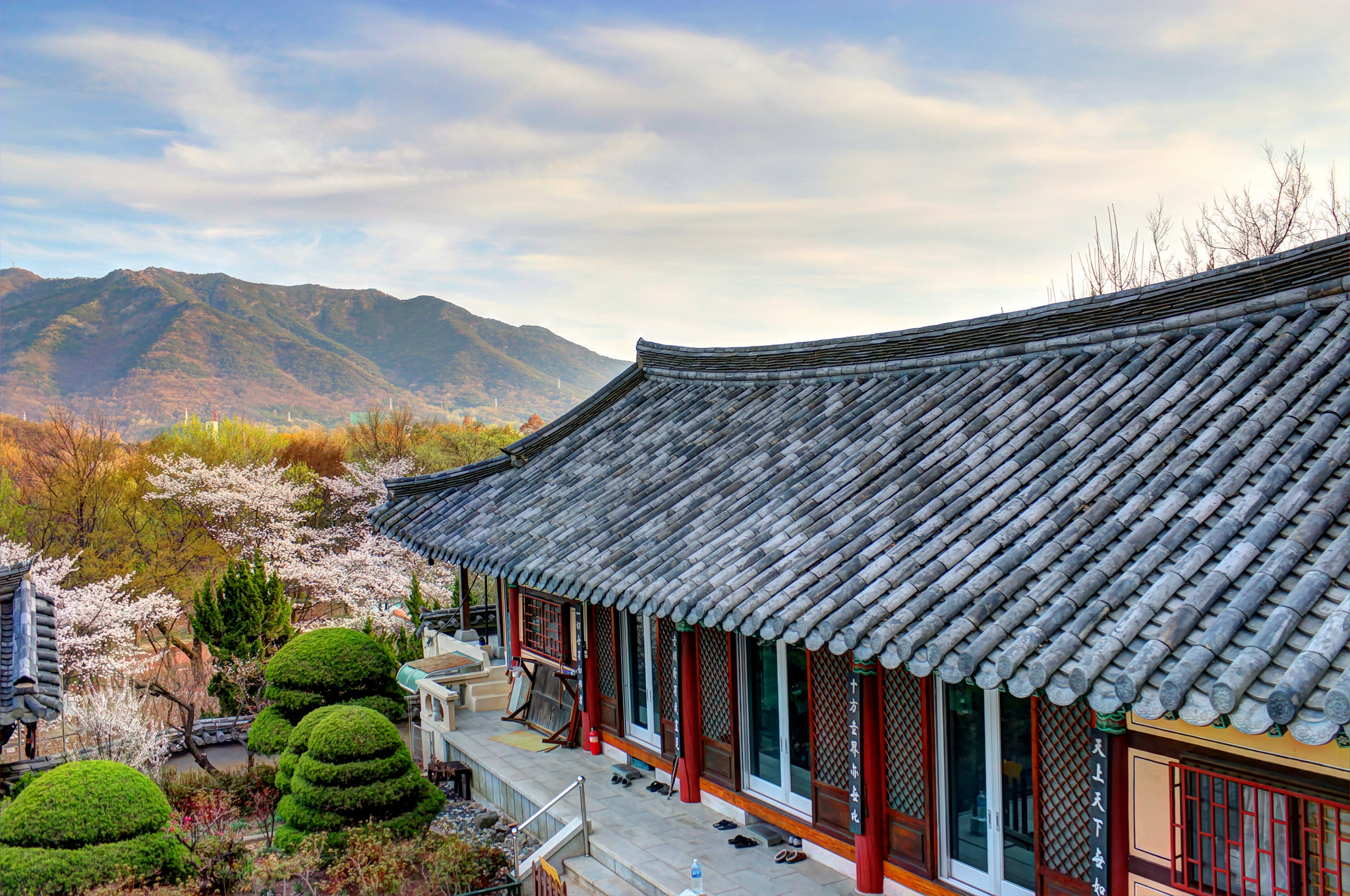 ssdh-daegu-Yangnyeongsi