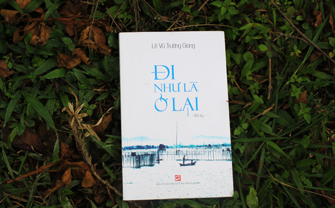 ssdh-di-nhu-la-o-lai