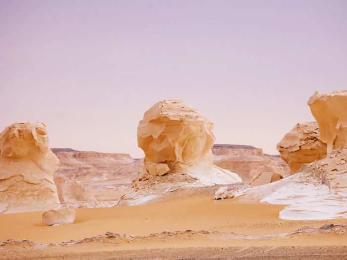 ssdh-el-sahara-el-beida