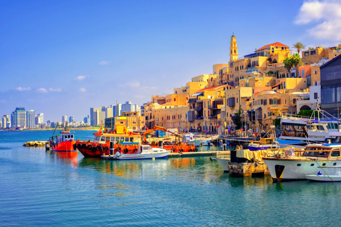 ssdh-israel1