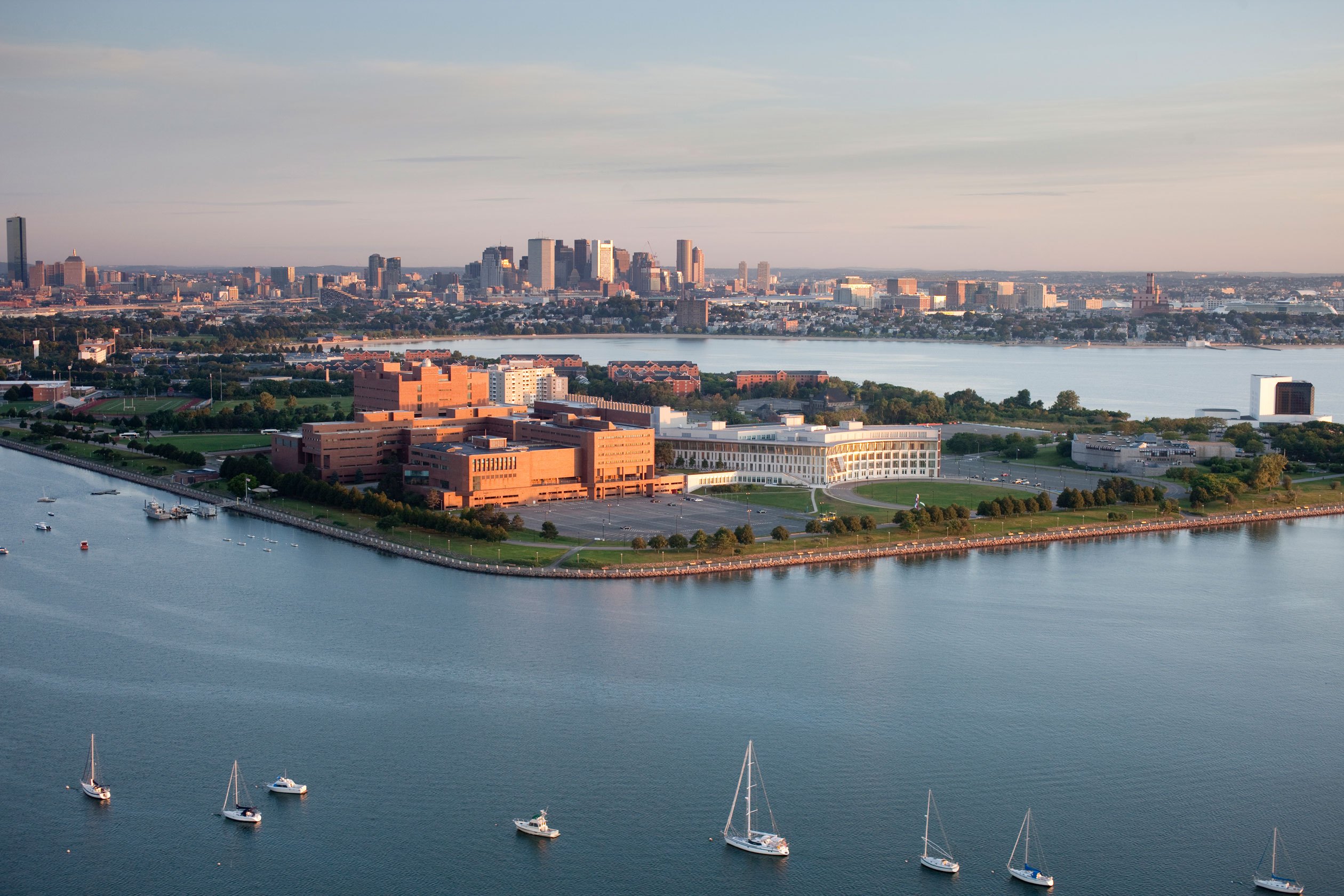 ssdh-massachusetts-boston-university