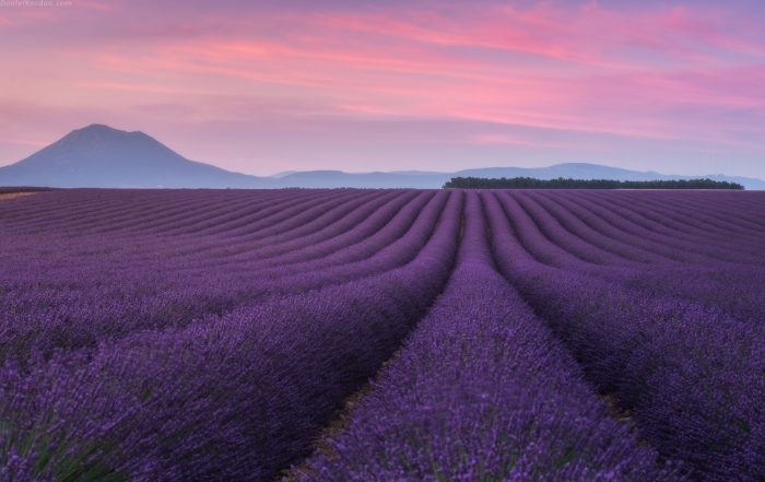 ssdh-provence