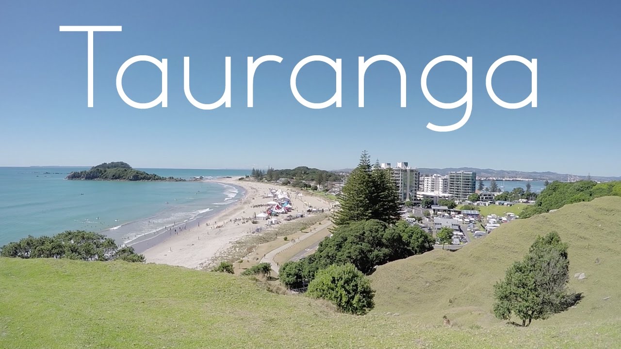 ssdh-tauranga