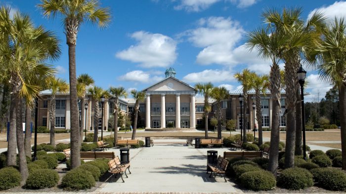 ssdh-university-of-south-carolina
