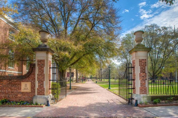 ssdh-university-of-south-carolina2