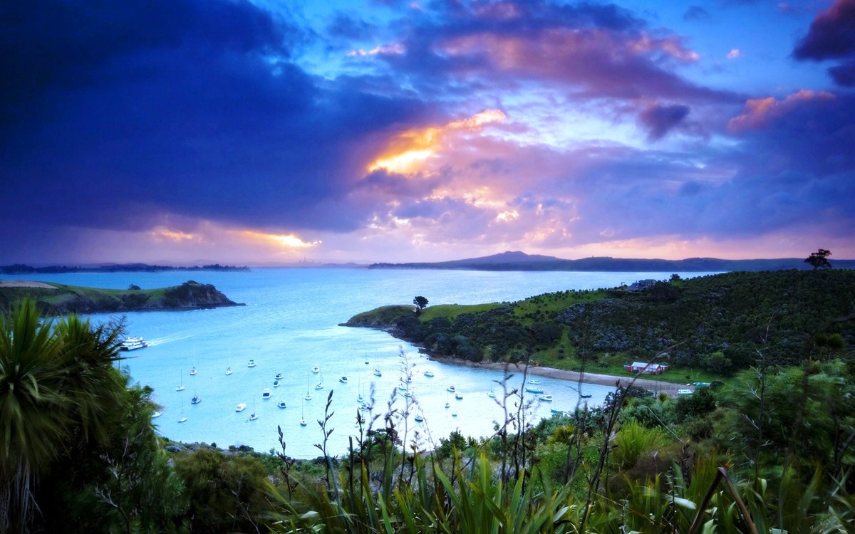 ssdh-waiheke-island