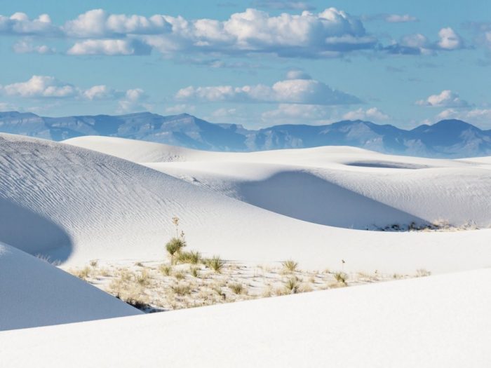 ssdh-white-sands