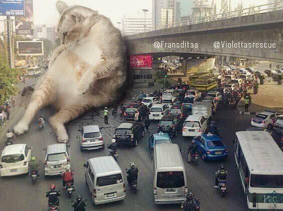 Thôi chết "nhỡ mông" một tí, không khéo đền ốm rồi...