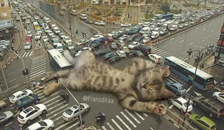 Boss v&ocirc; duy&ecirc;n ra giữa ng&atilde; tư nằm ngủ l&agrave;m tắc hết đường rồi! 